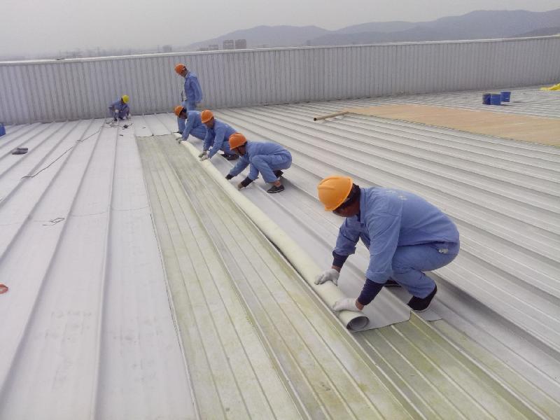 Chống thấm dột tại TPHCM 100% Triệt Để, BH 20 năm 0979227098